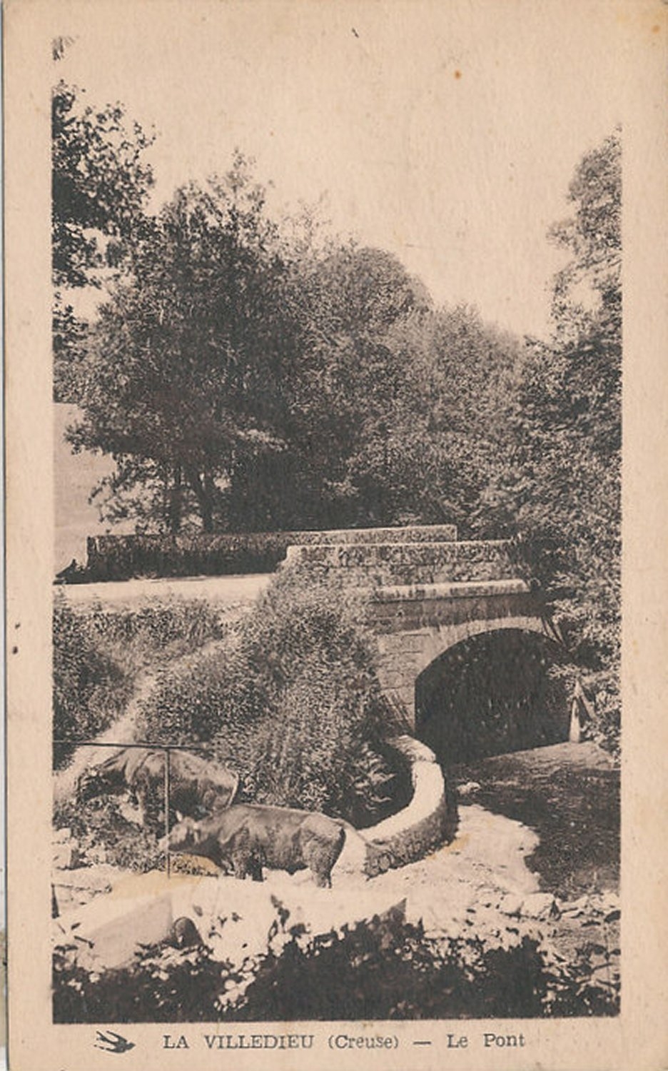 Photos et carte postales anciennes de la Villedieu Mairie de la