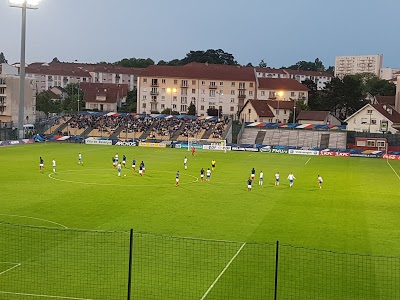 Logo Stade Léo Lagrange